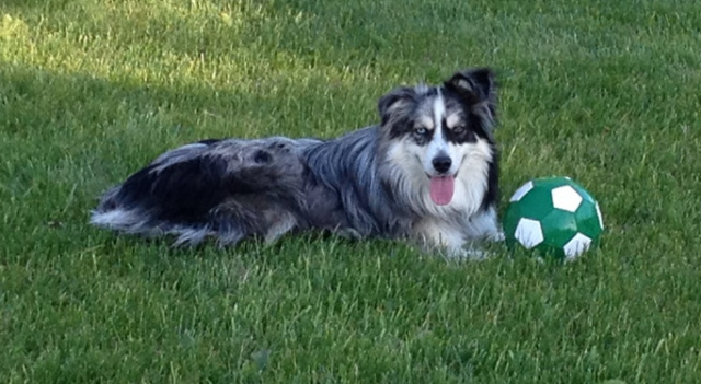 Finnigan< Chiquita and Tucker